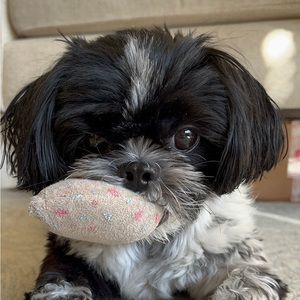 Meet your Posher, Jee